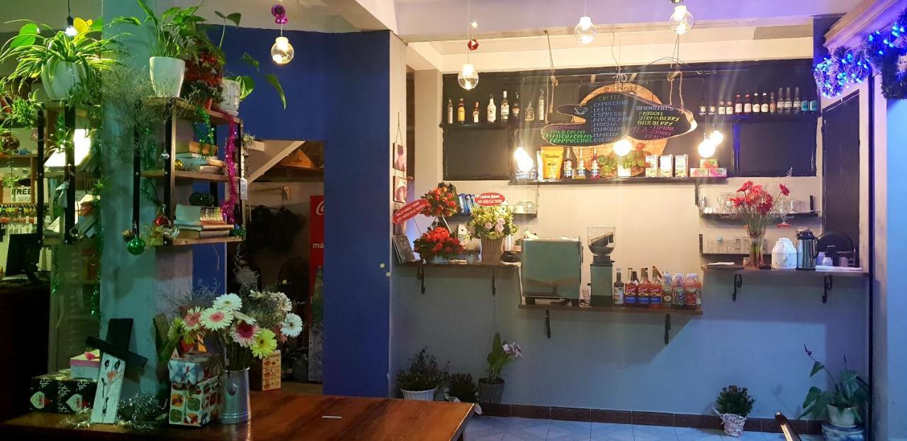 Auberge de jeunesse Tiny Tigers à Đà Lạt Extérieur photo